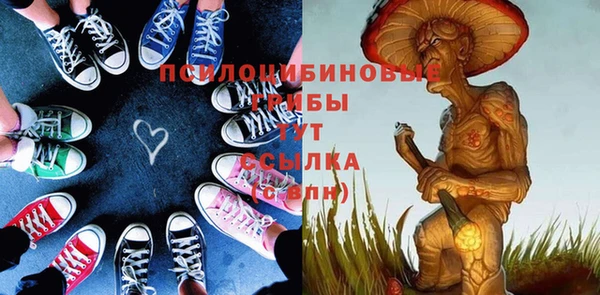 PSILOCYBIN Алексеевка