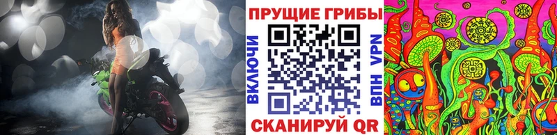 Галлюциногенные грибы Psilocybine cubensis  блэк спрут ссылки  Лесосибирск 